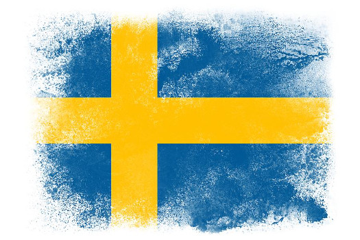 Cours particuliers de Suédois en ligne 25.- pour 50 minutes 