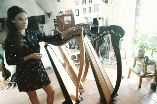 Professeur passionné propose des Cours de harpe celtique