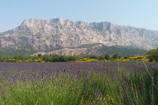 Randonnée 1 mardi / mois autour d'Aix-en-Provence (13)