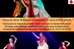 Association Shakti danse et culture indiennes