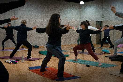 Cours de Hatha Yoga Traditionnel